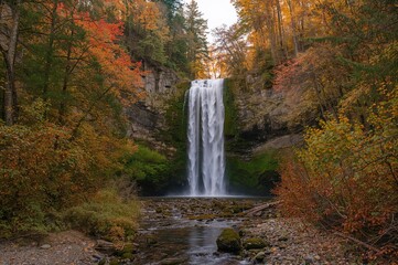 Water cascading over moss-covered rocks in a lush woodland