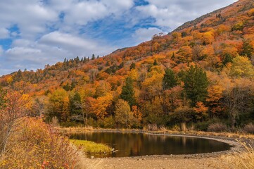 Obraz premium Autumn landscape featuring a vibrant forest and serene water body in a protected nature area.