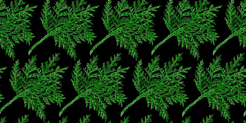 Seamless ornament of thuja branch cypress Christmas winter cold isolated illustration in the background