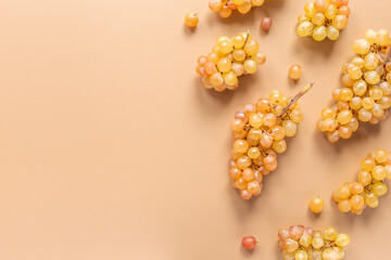 Many fresh green grape clusters isolated, top view