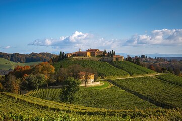 Fototapeta premium Scenic hillside vineyards dotted with quaint cottages