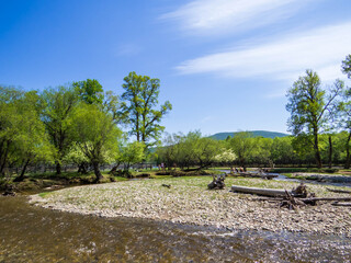 Tuul River, Mongolia © Stock Photos 2000