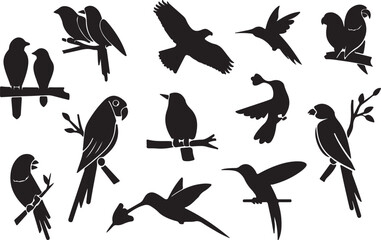 Obraz premium Collection of black bird silhouettes on white background