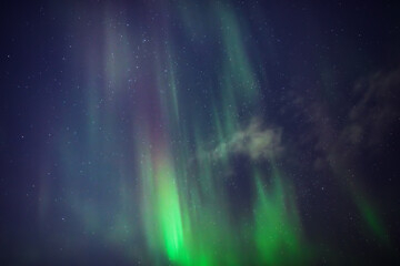 Aurora borealis, polar lights with Milky Way stars.