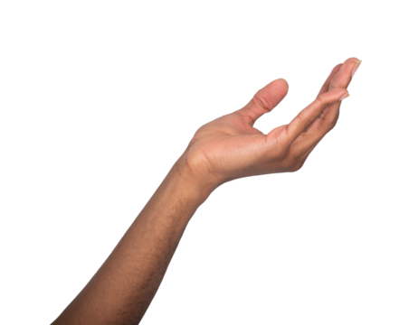 Open hand raised upward in a gesture of offering, asking, or presenting. The palm is facing slightly