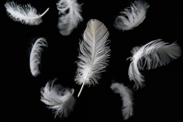 Obraz premium Soft White Feathers Drifting Through the Air. Single Feather on Dark Surface. Light Down Feathers.
