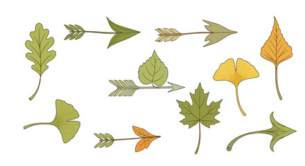Illustration of various leaf types, some stylized as arrows, in different shades of green, yellow, and orange.