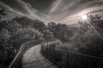 Black and white photo of a forest path with railings under a cloudy sky