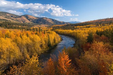 Bright autumn colors in a mountainous national forest