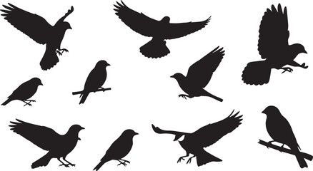 Obraz premium Flying Birds Silhouette Illustration