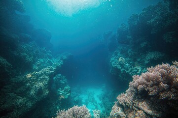 Fototapeta premium Famous underwater sinkhole for scuba enthusiasts along the Red Sea coast