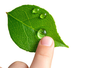 Child&rsquo;s Fingertip Gently Pressing Fresh Water Droplet