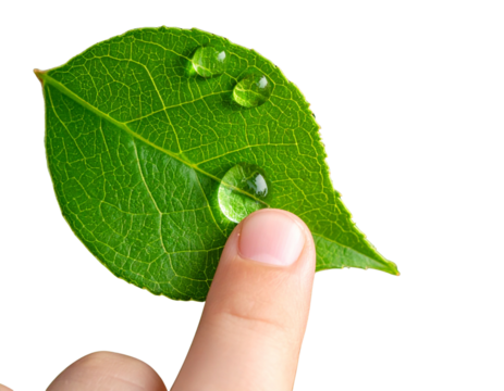 Child’s Fingertip Gently Pressing Fresh Water Droplet