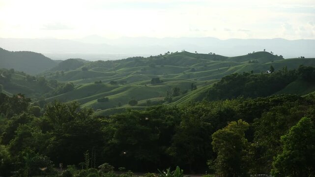 Mountains and corn field in Phrae, Thailand