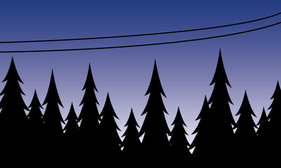 Spruce forest in the night il...