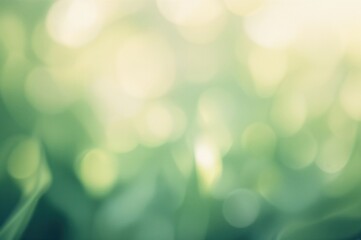 Obraz premium Soft pastel toned abstract summer business background with mint green bokeh and vintage leaf sunlight effects