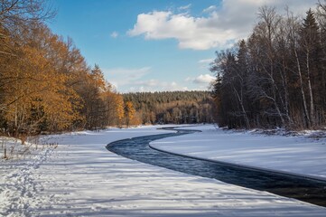 Obraz premium Winter sunlight illuminates a snowy woodland with a frozen stream and golden foliage