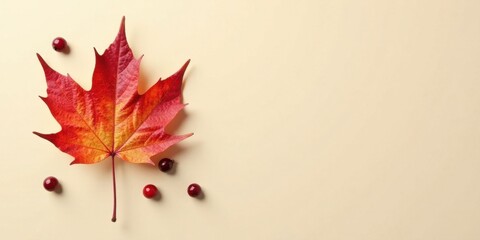 Autumnal Leaf and Berries on a Pale Background, a Simple Composition for Seasonal Designs
