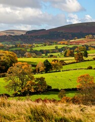 Autumnal countryside vista