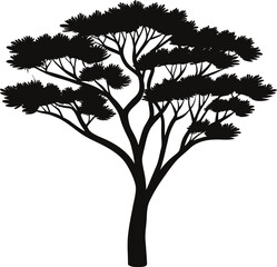 Silhouette of a majestic acacia tree against a white background © Mother Of Mahfuj