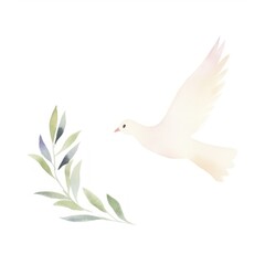Fototapeta premium Peace dove with olive branch white bird white background.