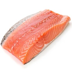 Raw Salmon Fillet with Skin On