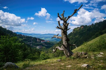 Mountain landscape with trees under the open sky in a small village