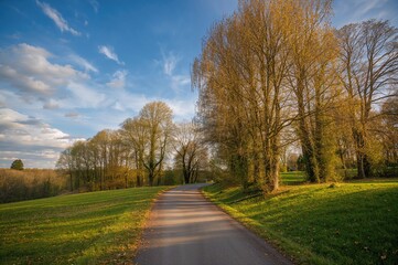Obraz premium Pathway through the green space