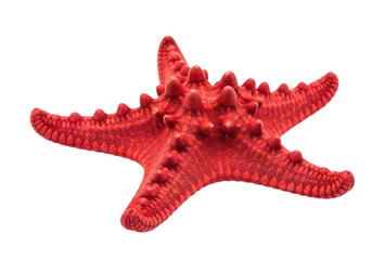 Bright red starfish isolated on white background cutout transparent png