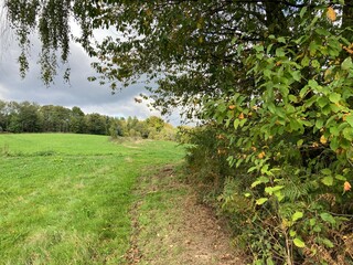 Naturlandschaft im Herbst zwischen Wald und Wiese im Bergischen Land