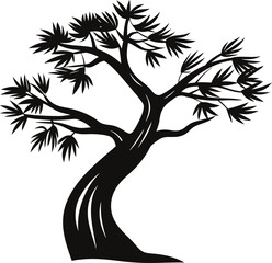 Silhouette of a twisted pine tree with wispy foliage