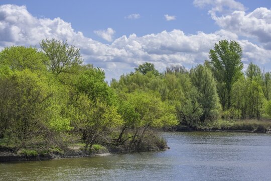 Sakadas Lake in Kopacki Rit nature park Park, Kopačevo, Osijek-Baranja County, Croatia