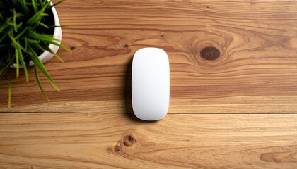 White Computer Mouse on Wooden Surface Beside Potted Green Plant Overhead View