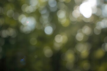 Obraz premium Morning summer season with abstract nature blur and fresh air