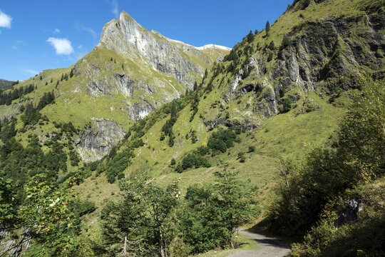 Driveway, hiking trail to K&auml;ser Alpe, behind Himmelhorn, Oytal, near Oberstdorf, Oberallg&auml;u, Allg&auml;u, Bavaria, Germany