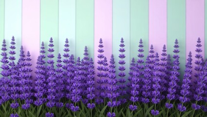 Vibrant Purple Lavender Flowers Against a Pastel Striped Wall.