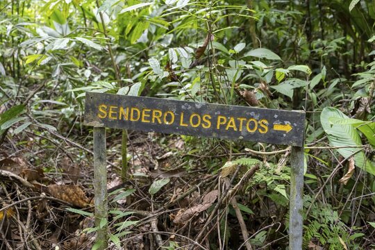 Sign, signpost hiking trail Sendero Los Patos, Corcovado National Park, Osa Peninsula, Puntarena Province, Costa Rica