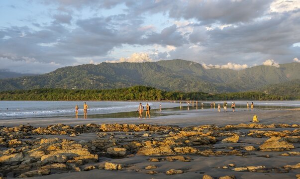 Sandy beach beach with palm trees by the sea, with reflection, Punta Uvita, Tropical rainforest, wooded hills, Pacific coast, Parque Nacional Marino Ballena, Puntarenas province, Costa Rica