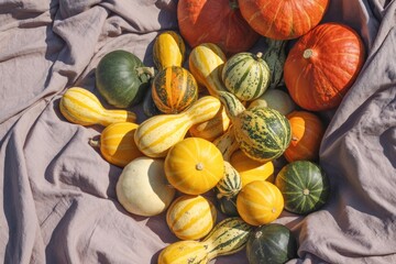 Vector art of overhead view of a variety of colorful gourds on a gray wrinkled blanket