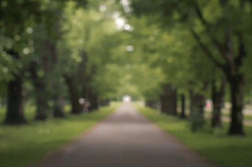 Fototapeta premium Soft Focus on Tranquil Trail Amidst Vibrant Greenery, Ideal for Relaxing Strolls and Outdoor Escapes