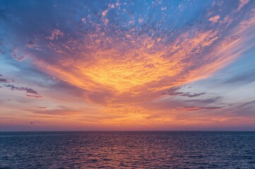 Fototapeta premium The evening sky bloomed like a fierce flower at dusk.