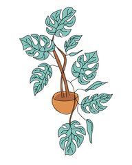 Houseplant in brown ceramic pot with large decorative leaves. Tropical monstera for room decor. Flat vector isolated on white background. Hand drawn.
