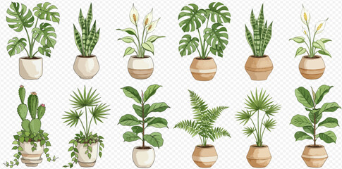 Collection of potted plants, including monstera, snake plant, peace lily, fern, and palm, in various decorative pots.