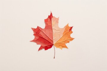 Obraz premium Maple leaf autumn plant tree.
