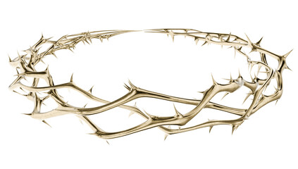 This sculptural 3D render blends dangerous thorns with an elegant, polished finish. A powerful abstract visual for faith-based and metaphorical concepts.