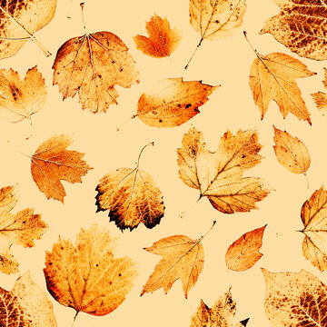 Seamless pattern with the group of live leaves imprints