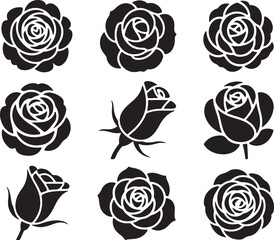 Rose blossom silhouettes collection various bloom stages blossom