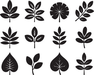 Leaf Silhouette Set Botanical Shapes Isolated on Transparent Backdrop