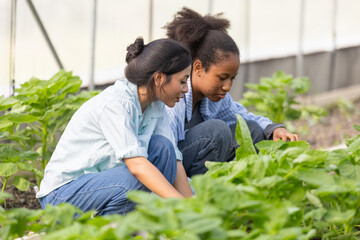 Two young women working together in a lush organic vegetable garden, inspecting green leafy plants. Concept of teamwork, sustainable agriculture, healthy food, and eco-friendly lifestyle.