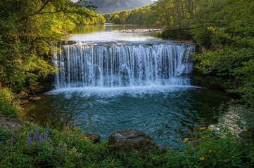 Fototapeta premium Summer waterfall cascading through a forest